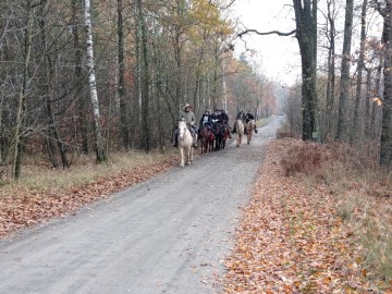 11 listopada 2023 r. – w rocznicę odzyskania niepodległości., 